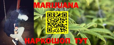 стаф Пенза